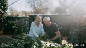 DWP state pensioners born in these years having £100 cut from payments
