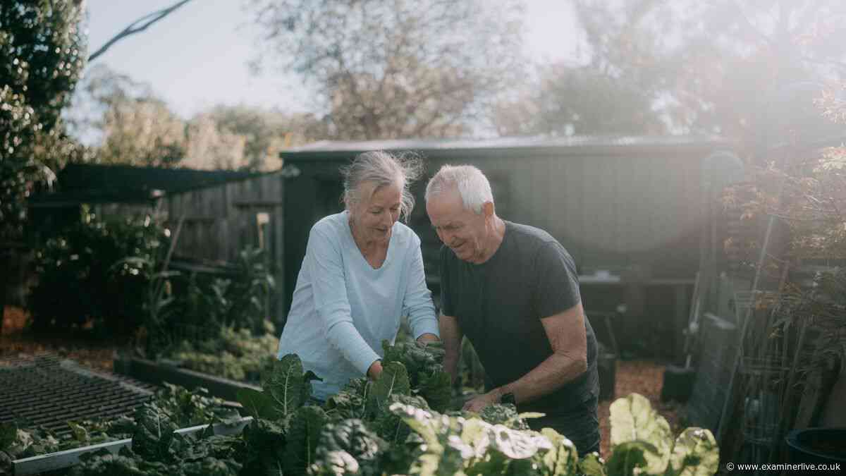 DWP state pensioners born in these years having £100 cut from payments
