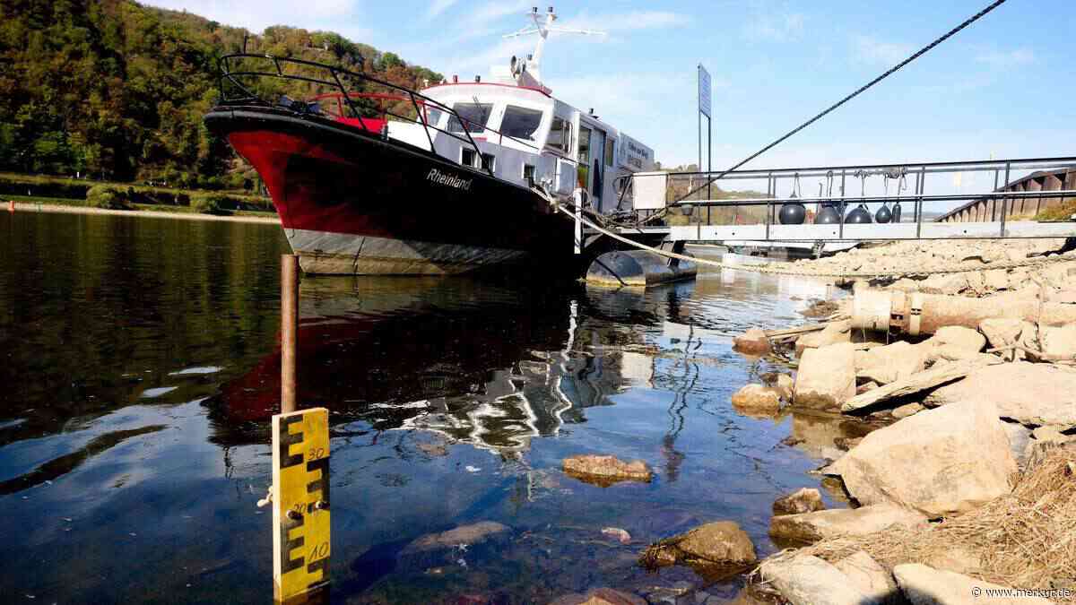 Rhein auf Rekordtief: Der Fluss läuft leer – und die Wirtschaft mit