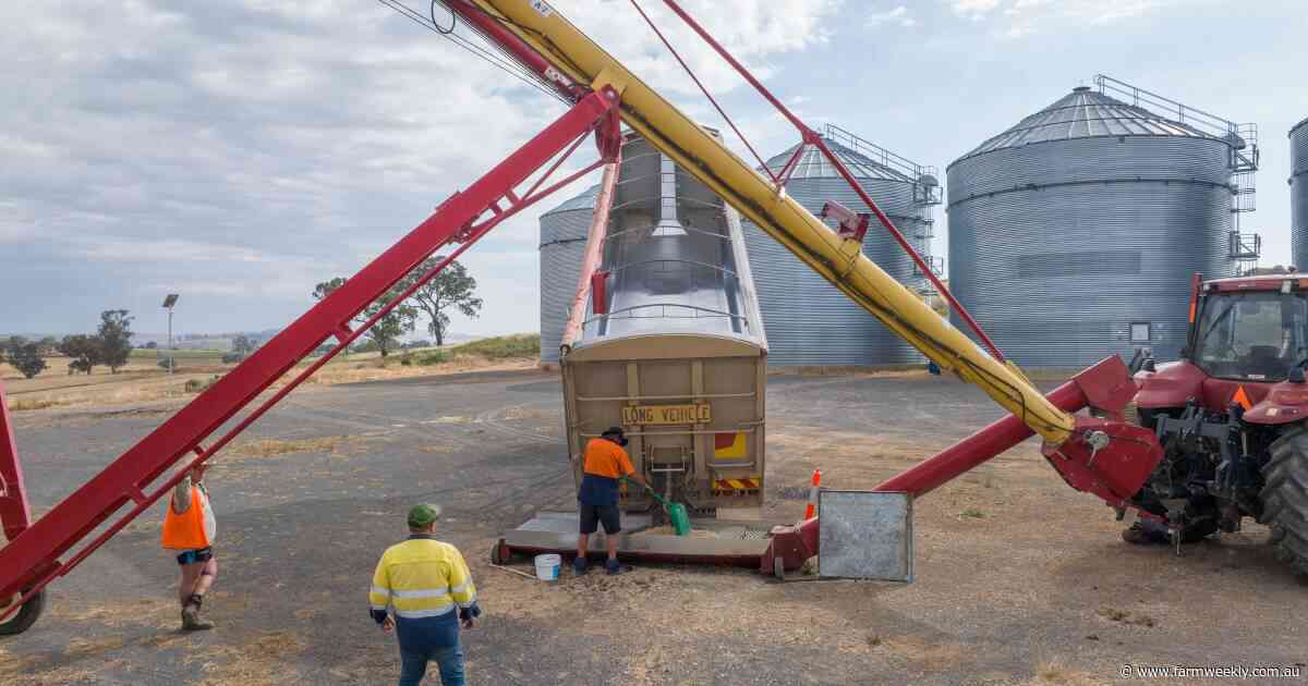 Calls for delay on new grain dust exposure limits set to hit farms mid-harvest