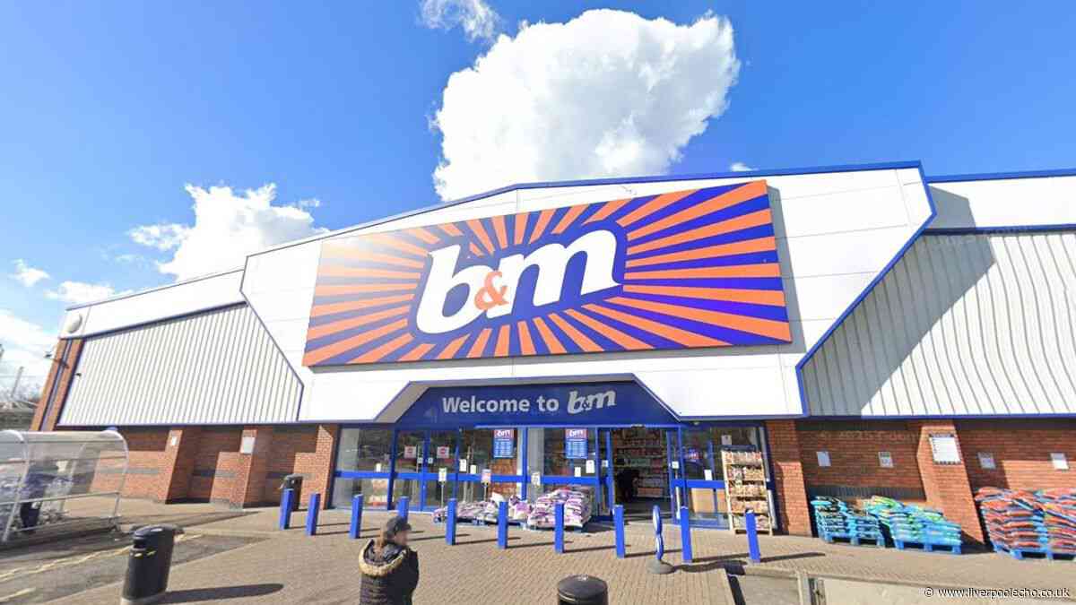 Front doors look 'gorgeous' with B&M wreath that looks like £50 Dunelm version