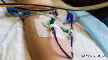 Gezondheidsraad adviseert persoonlijk contact stamceldonor en -ontvanger
