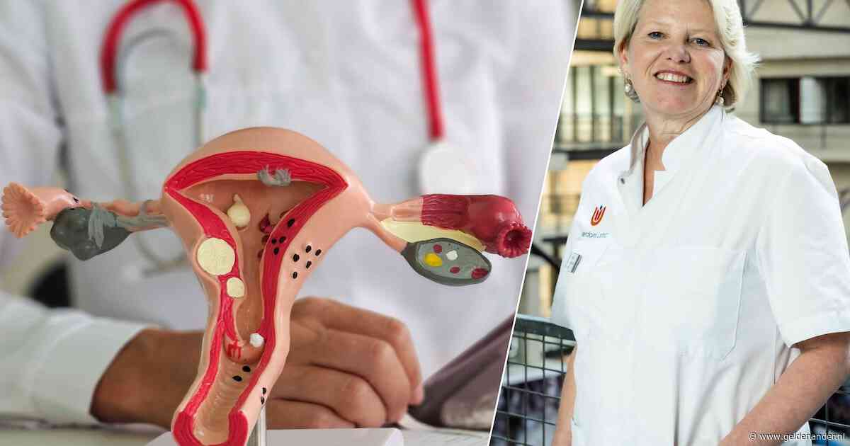 Goede zorg voor vrouwen kan 3 miljard euro opleveren, nu tobben ze jarenlang met gezondheid