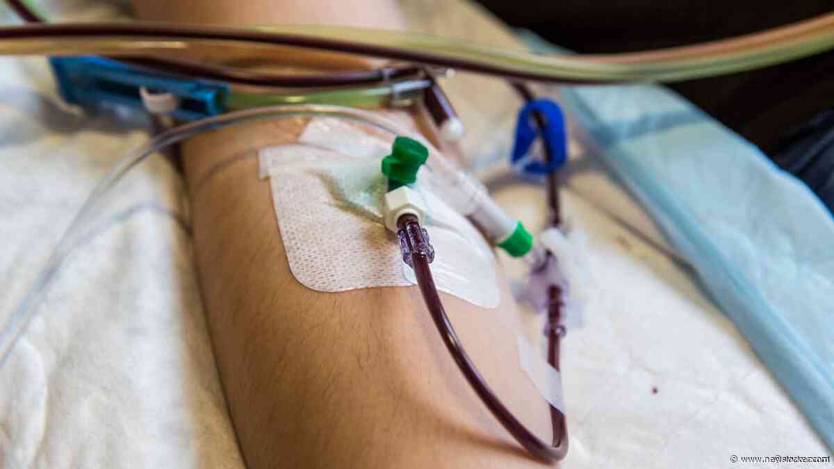 Gezondheidsraad adviseert persoonlijk contact stamceldonor en -ontvanger