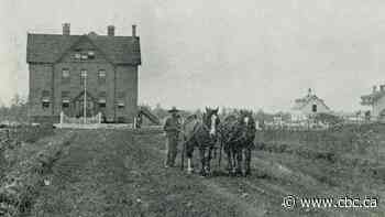 City taking steps soon to memorialize former Calgary residential school