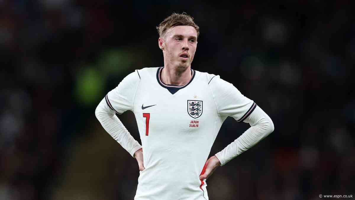 Walcott defends Palmer over England withdrawal