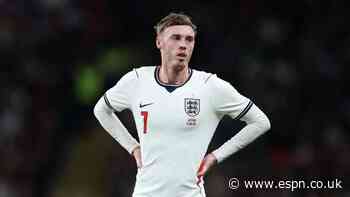Walcott defends Palmer over England withdrawal