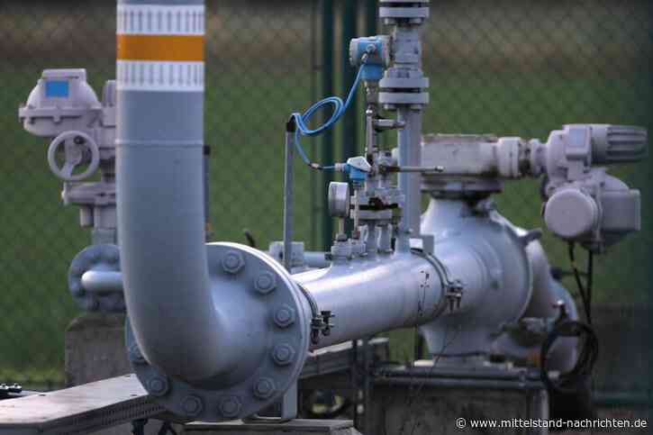 Gasspeicher-Eingriff: Städte- und Gemeindebund warnt vor höheren Kosten für Schulen, Kitas und Verwaltung