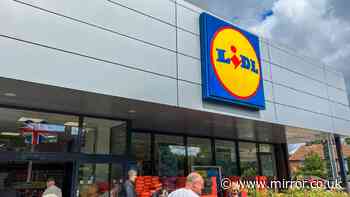 New Lidl £9 jacket ‘with high collar’ just like £40 H&M in all stores on Sunday