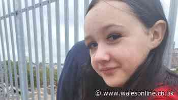 Swansea girl, 13, missing as police issue urgent appeal
