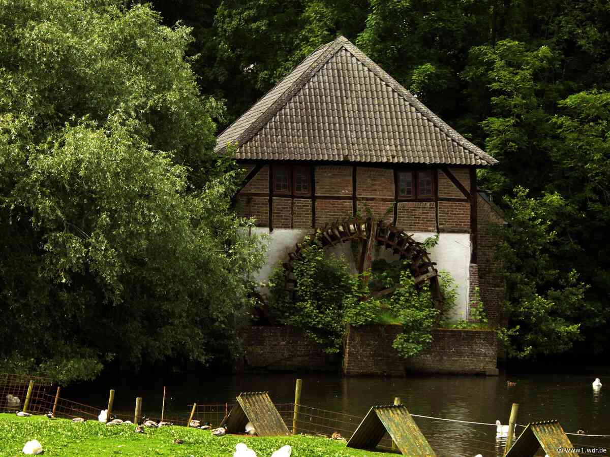LVR Kulturförderung im Rheinland