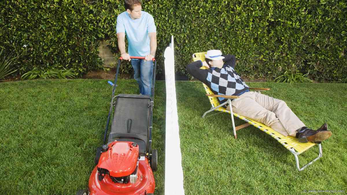 Ruzie met de buren: geliefde boom in één uur omgezaagd en alle privacy weg
