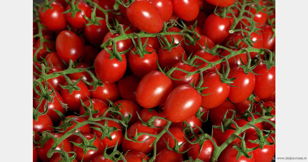 Zwitserse retail verkoopt meer bio-cherrytomaten, minder bio-blauwe bessen