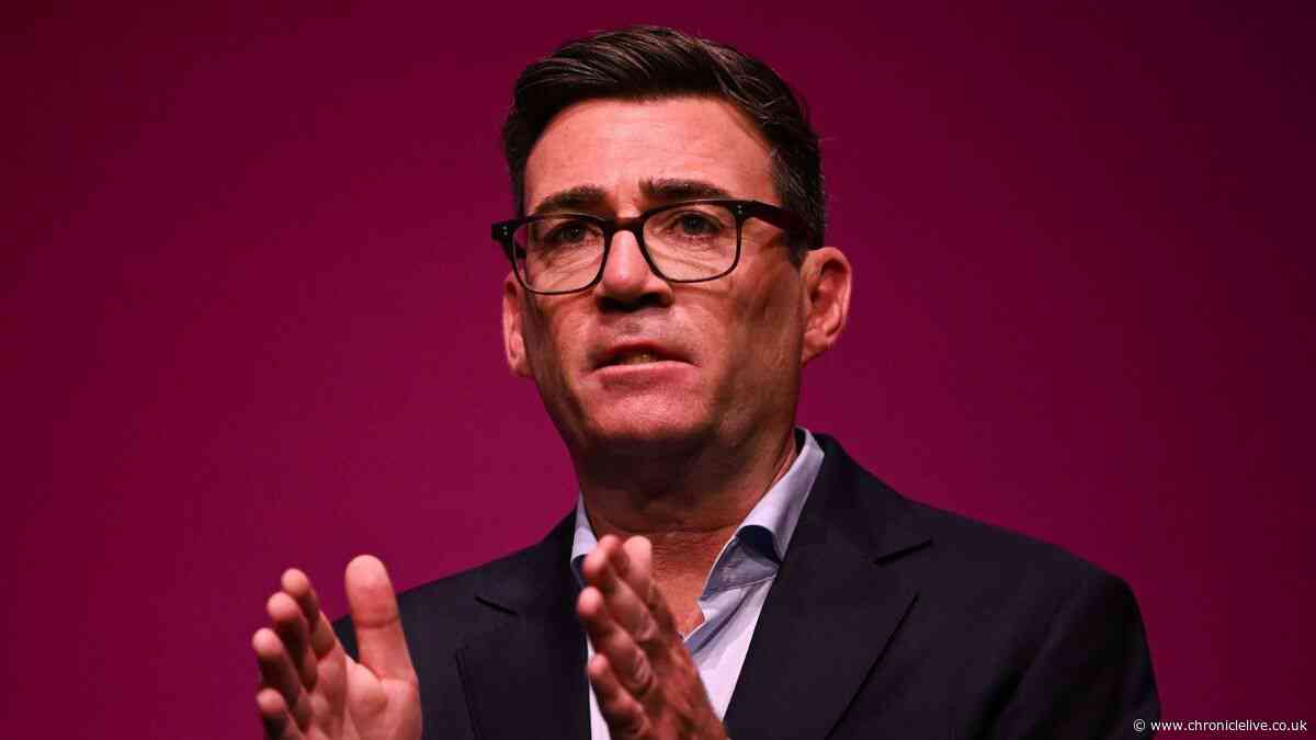 Andy Burnham not ruling out UK rejoining European Union and could go 'all the way'