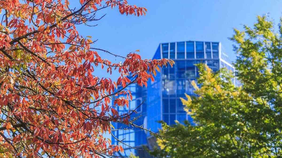 Herbstmarkt im Maxipark Hamm: Alpakas, Trecker und Baustellenführung