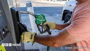 What a US diesel export ban could mean for you