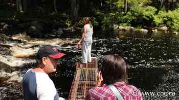 'Real reconciliation': Medicine trail partners Mi’kmaw communities, N.S. landowners