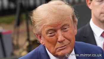 Donald Trump's 'truly stupid' spelling mistake on superintelligence community letter