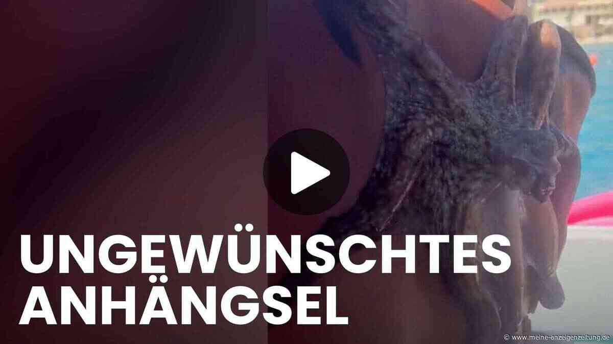Beklemmende Situation: Oktopus saugt sich an Urlauber fest und lässt nicht los