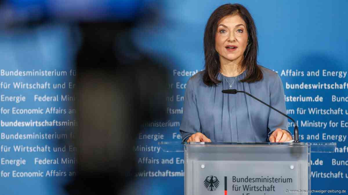 Schlecht gefüllte Gasspeicher in Deutschland: Reiche reagiert – ein bisschen
