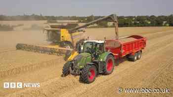Worry for farmers after 'worst harvest in years'