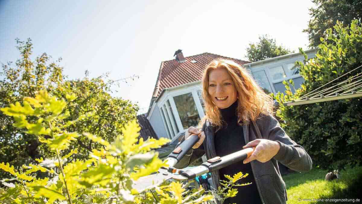 Hecken und Sträucher: Rückschnitt ab Oktober wieder möglich