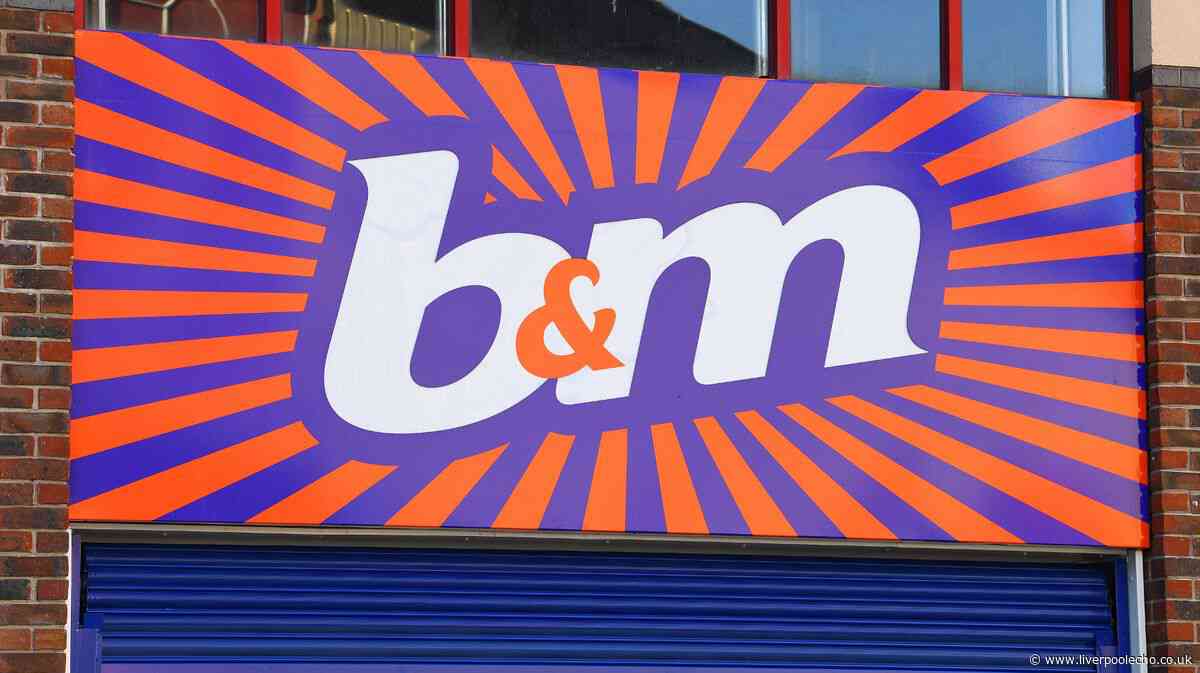 B&M fans are 'running' to buy £30 mirror due to adorable detail