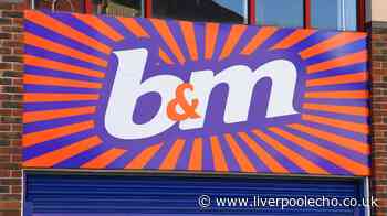 B&M fans are 'running' to buy £30 mirror due to adorable detail