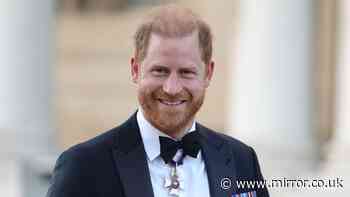 Prince Harry will not 'pull focus from Royal Family' on his first Remembrance Day back in the UK