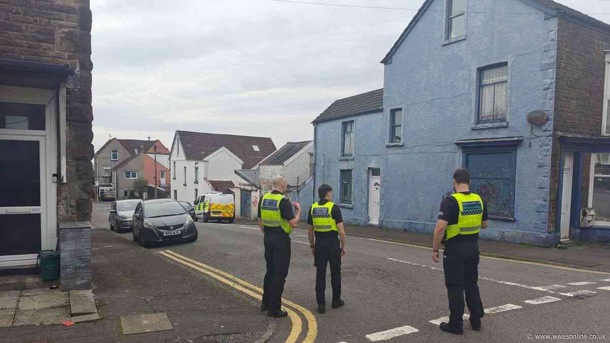 Three arrested after police search man in Swansea street
