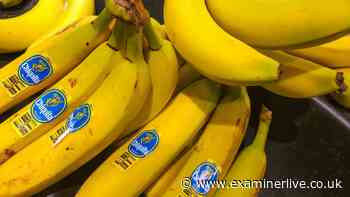 UK invents bananas that won't go brown they're to hit supermarkets soon