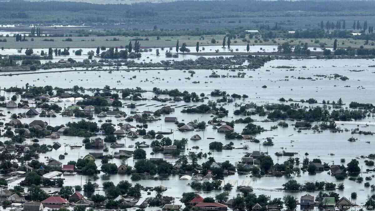 Menschen essen Unkraut: Hungerkatastrophe bahnt sich in russisch besetztem Dorf an