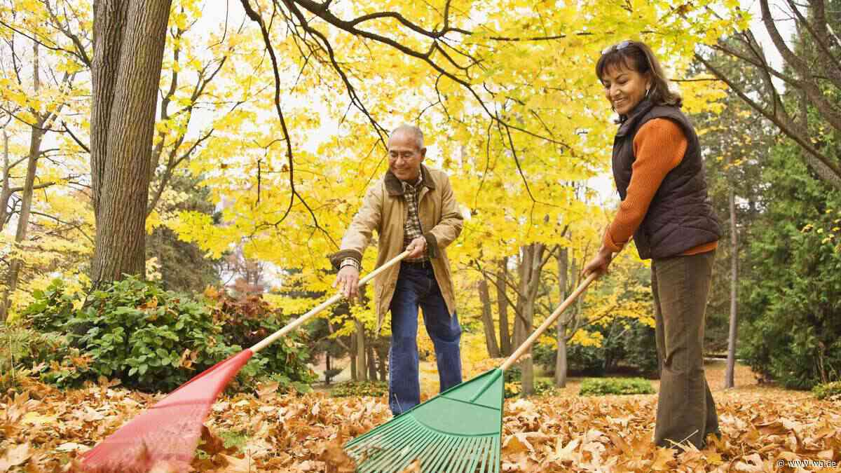 Gartenarbeit im Oktober: Diese wichtigen Arbeiten stehen jetzt an