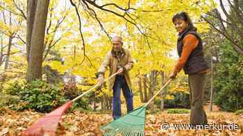 Gartenarbeit im Oktober: Diese wichtigen Arbeiten stehen jetzt an