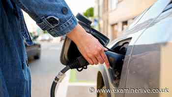 York woman who's kept track of fuel prices since 2010 says 'I won't buy electric'