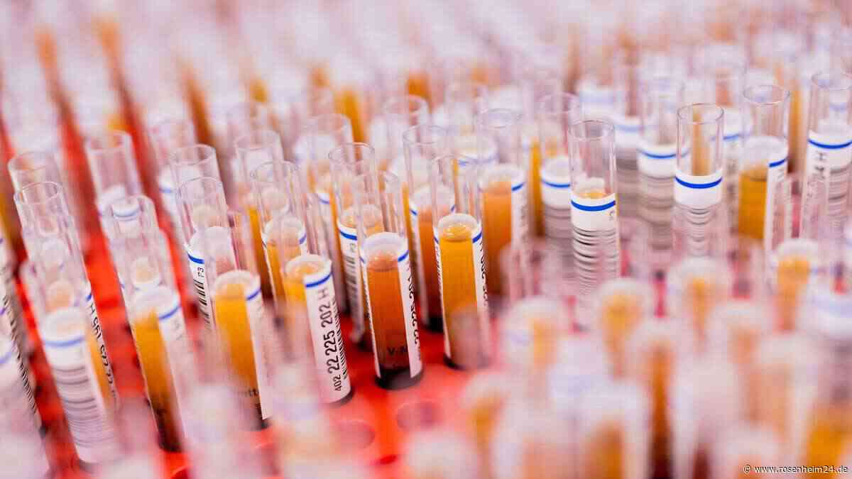 Ein einfacher Bluttest könnte die Entwicklung personalisierter Krebstherapien erleichtern