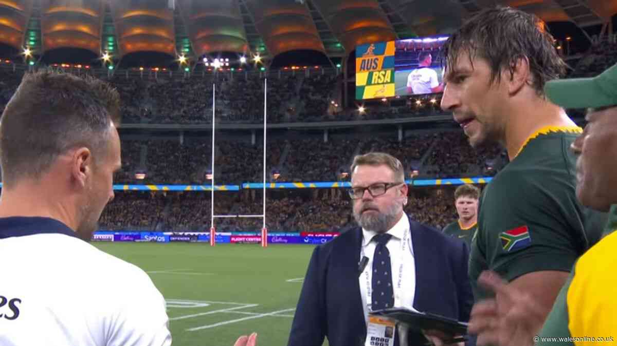 'Very serious' World Rugby investigation expected as Springboks accused