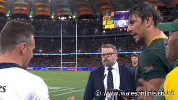 'Very serious' World Rugby investigation expected as Springboks accused
