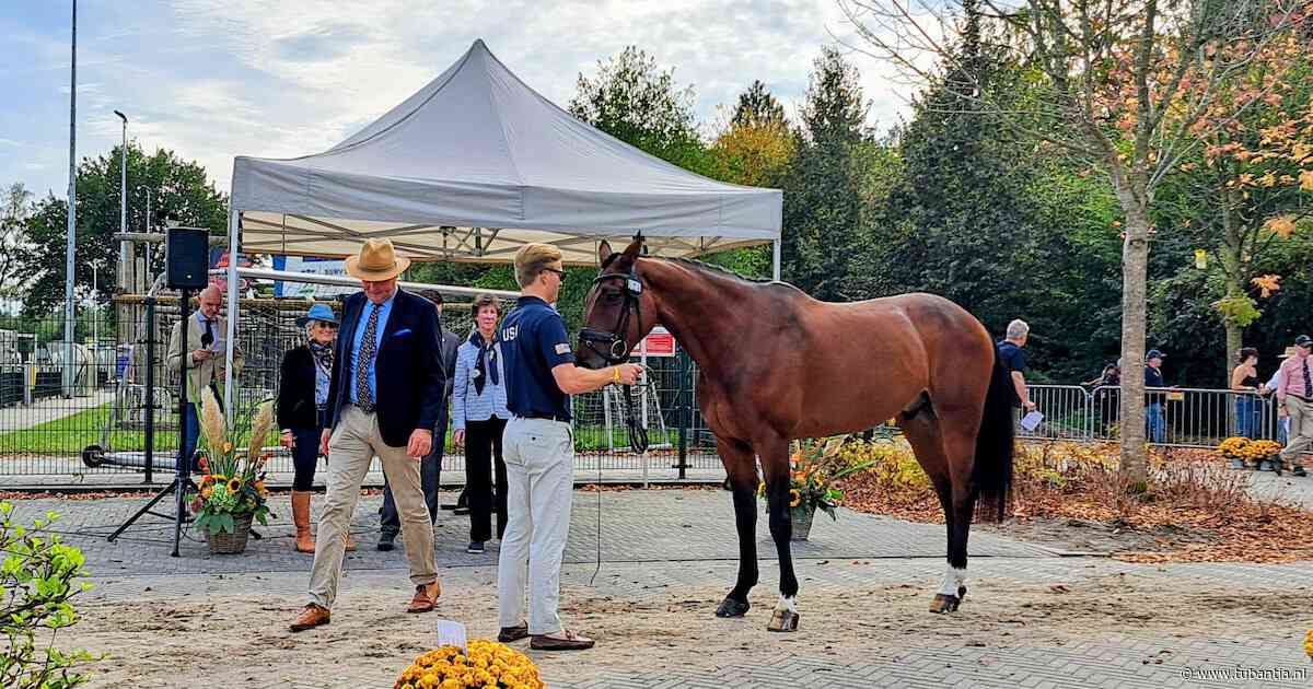 LIVE | Keuring paarden Military Boekelo in volle gang • Boekelo in het teken van paarden, hoedjes en laarzen