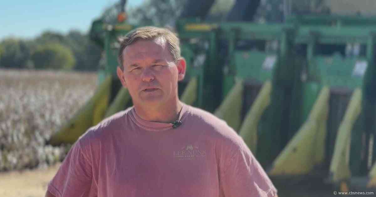 Georgia farmer says diesel prices could add $100K to harvest costs