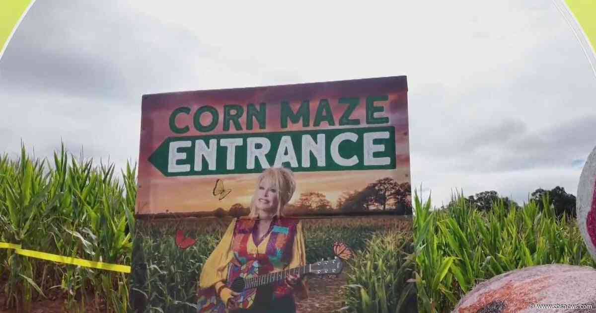 Walk the Line I North Georgia farm celebrates Dolly Parton with fall corn maze