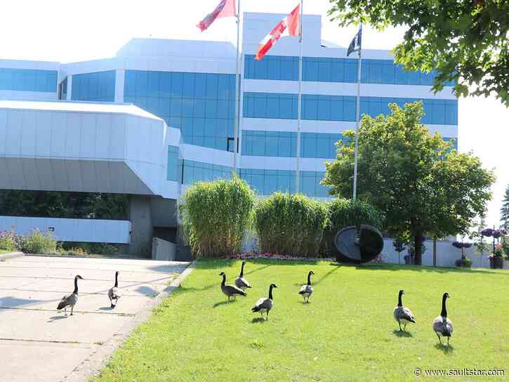 Municipal election candidates meet voters at Grand Gardens Downtown