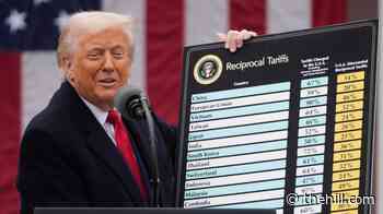Live updates: Senate sets up stock trading, data center votes; trade court hears Trump tariffs case