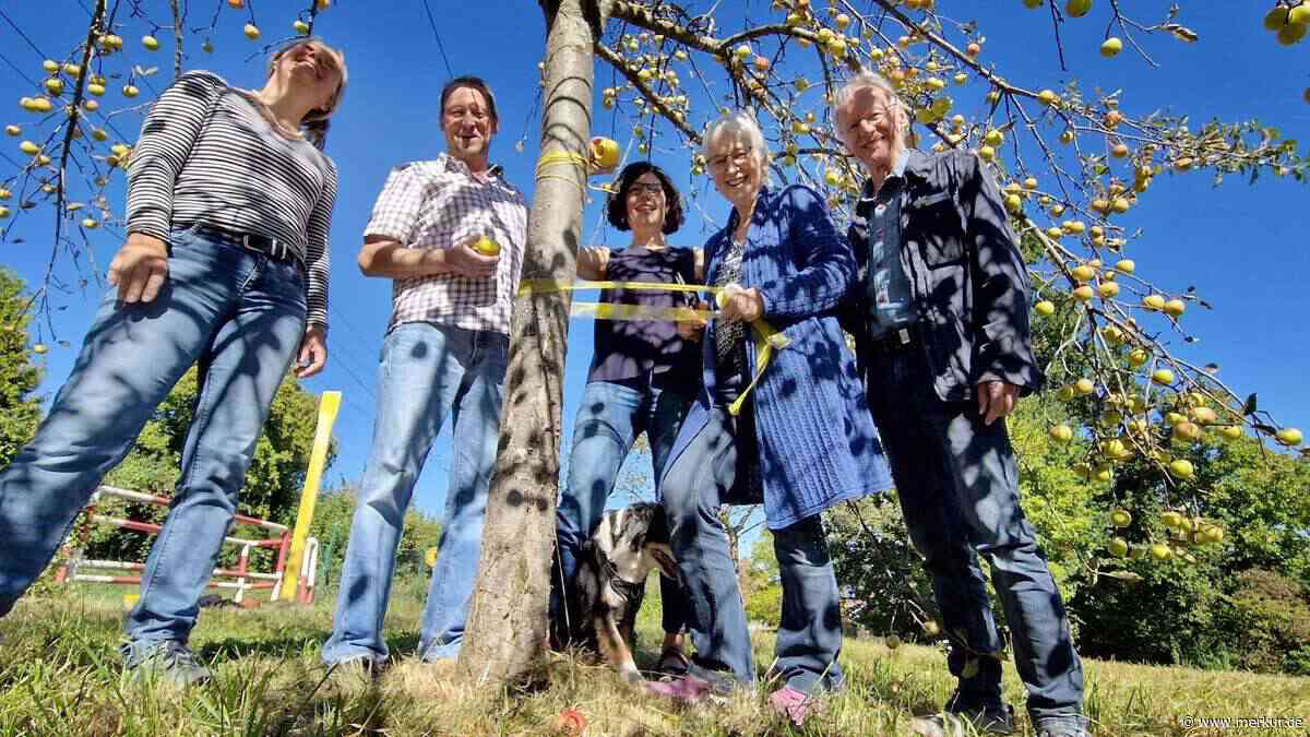 Gelbes Band bedeutet: Hier darf jeder kostenlos Obst ernten