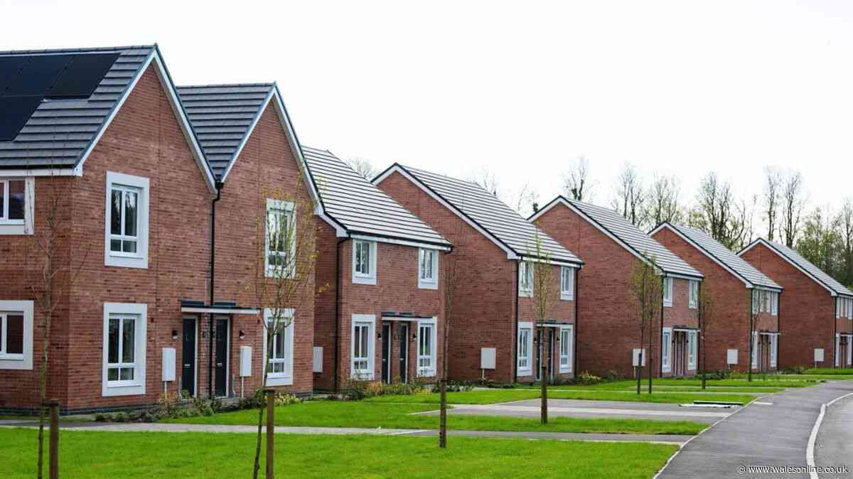 New Kidwelly council housing development completed as resident says they're 'ecstatic'