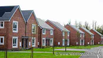 New Kidwelly council housing development completed as resident says they're 'ecstatic'