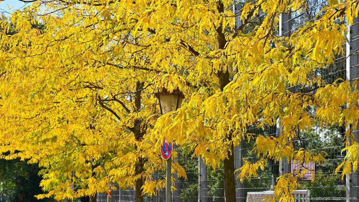 Herbstliche Impressionen aus dem Landkreis Landsberg