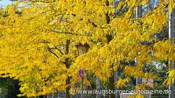 Herbstliche Impressionen aus dem Landkreis Landsberg