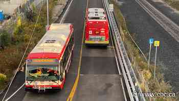 New bus-only roadway on former Scarborough RT route will shorten commute times: TTC