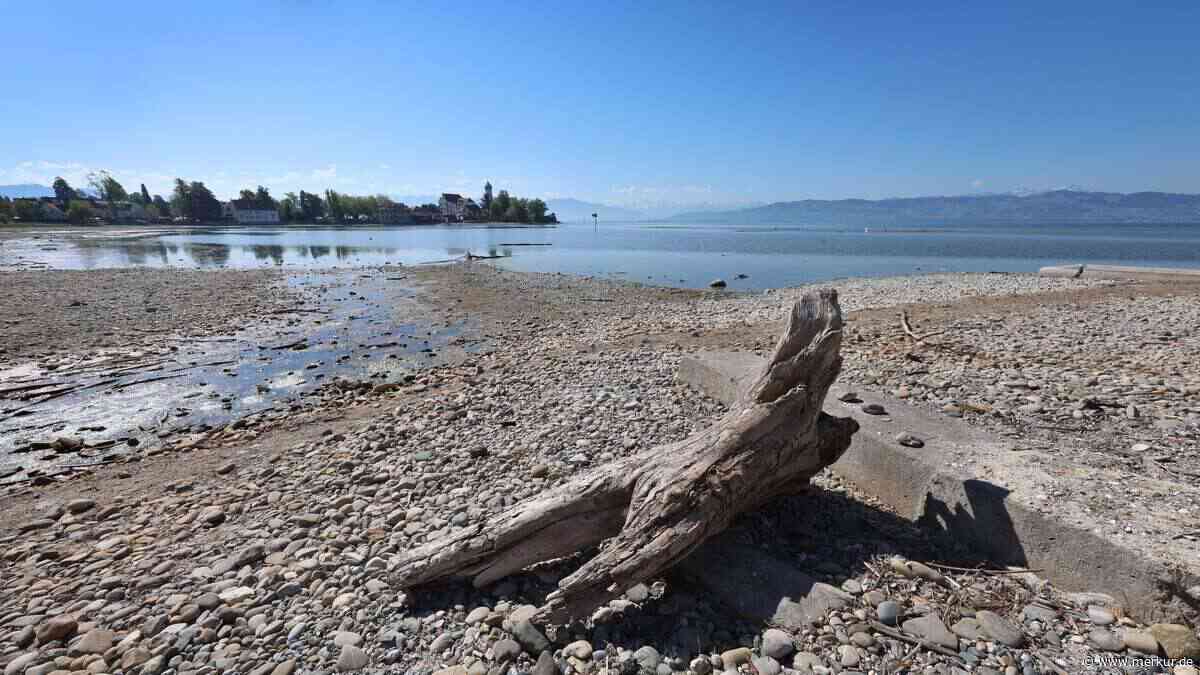 Seniorin versinkt bis zum Bauch im Bodensee-Schlamm: Rekord-Dürre wird zur Gefahr für Spaziergänger
